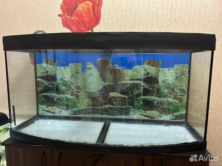 Аквариум панорамный с тумбой