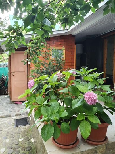 Дом 37 м² на участке 1 сот.