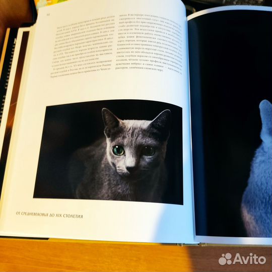 Энциклопедия кошки