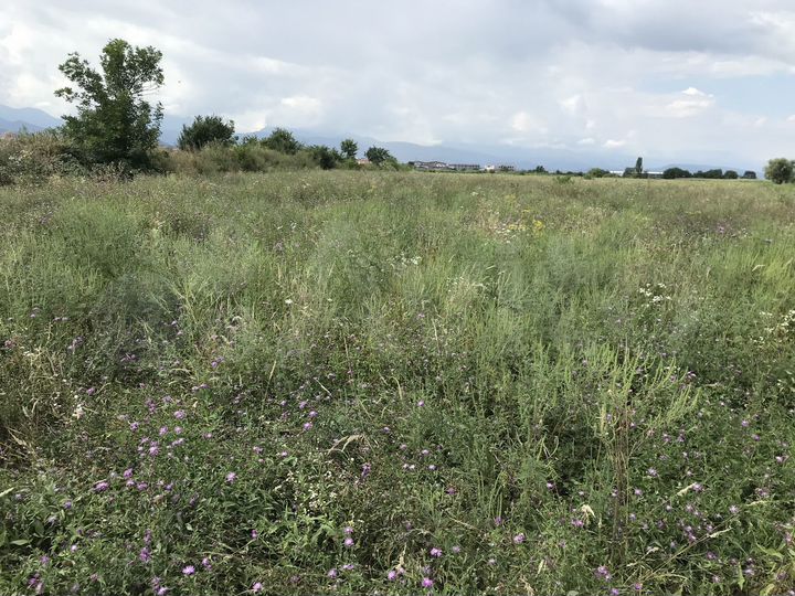 Участок 7,8 сот. (ИЖС)