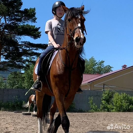 Верховая езда, фотосессии, пони-клуб
