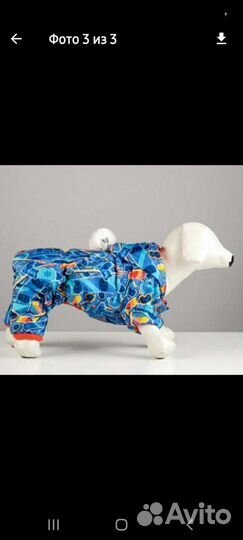 Одежда для маленьких пород собак