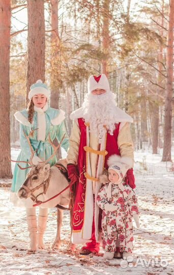 Олени с Дедом Морозом