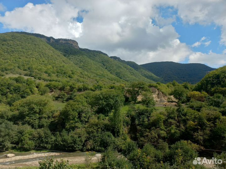 Гид экскурсовод