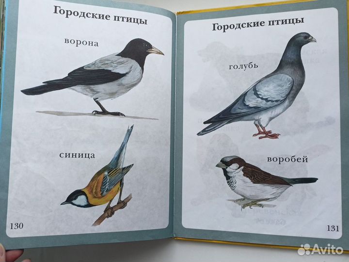 Детские книги для малышей пакетом сказки