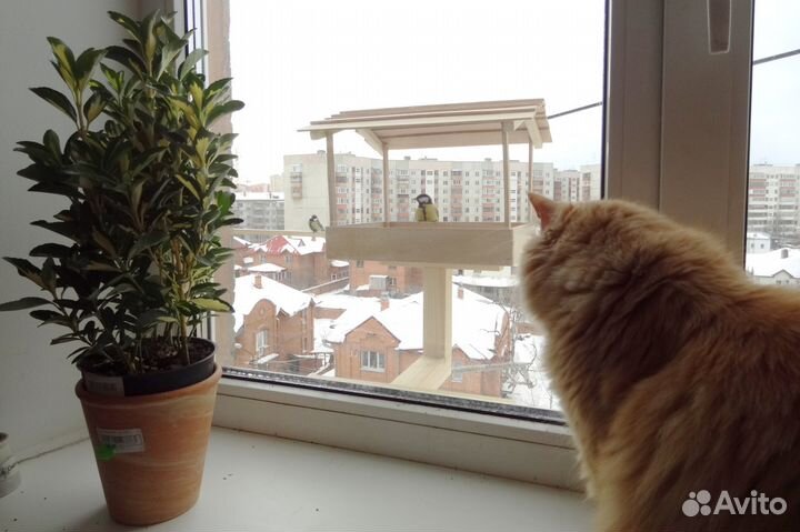 Кормушка для птиц