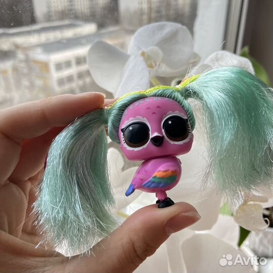 Lol light pets сова rainbow