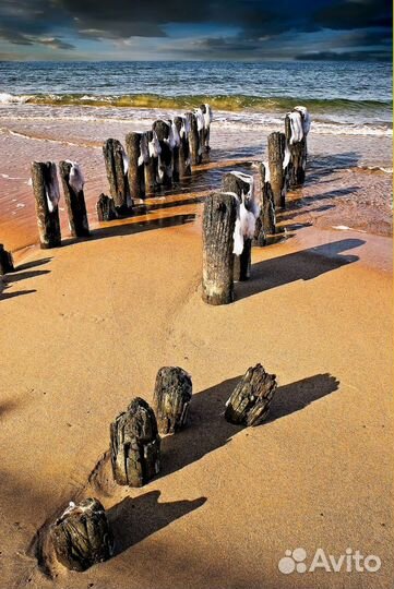 Куршская коса с гидом все возможные локации