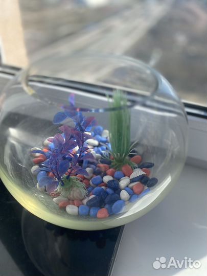 Аквариум для рыбок с камнями