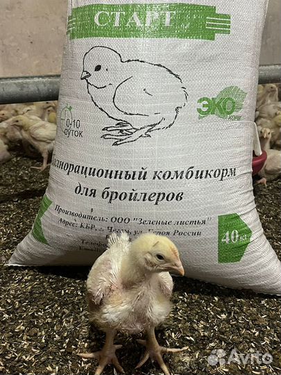 Комбикорм для бройлеров старт 40 кг