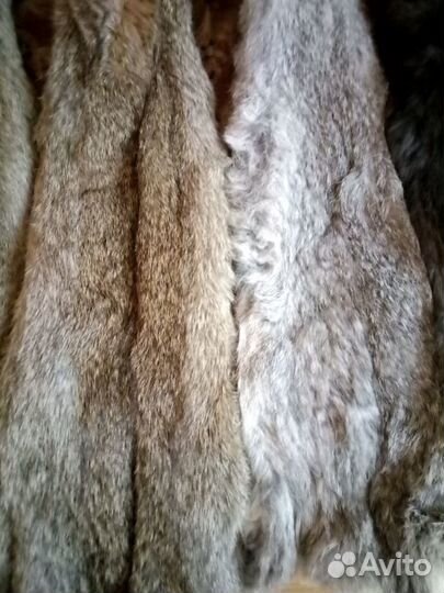 Шкурки кроличьи