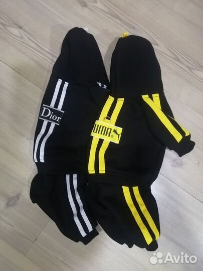 Одежда для собак