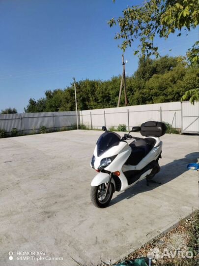 Максискутер Honda Forza MF10