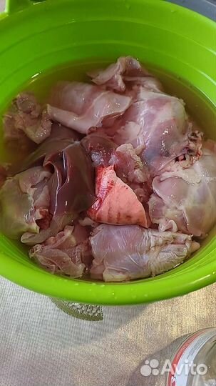 Продам мясо кролика
