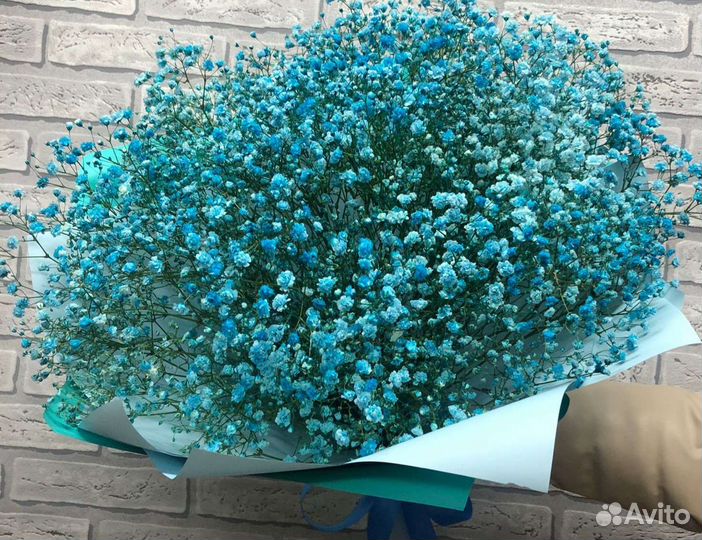 Букет из гипсофилы