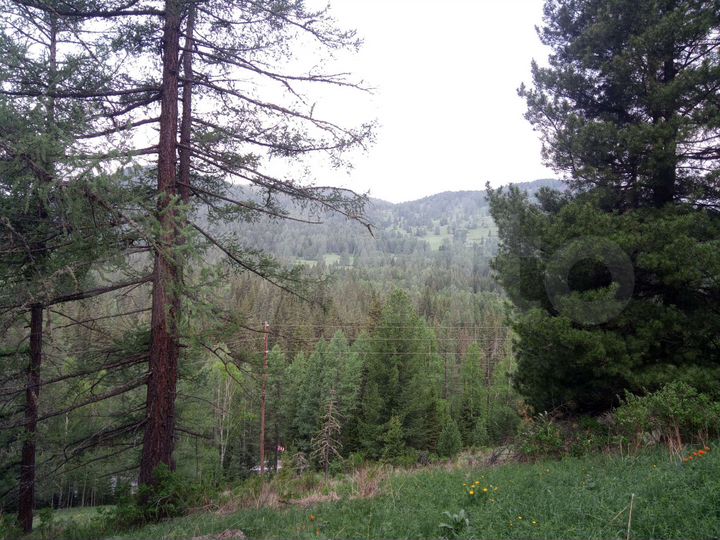 Участок 39,4 га (СНТ, ДНП)