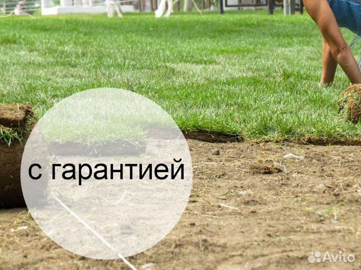 Рулонный газон,как у бабушки в деревне в Одинцово