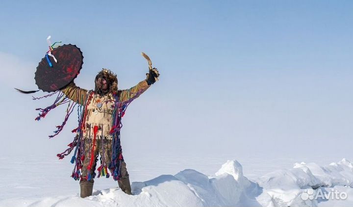 Чай пуэр « Космос шаманов » шмн10081