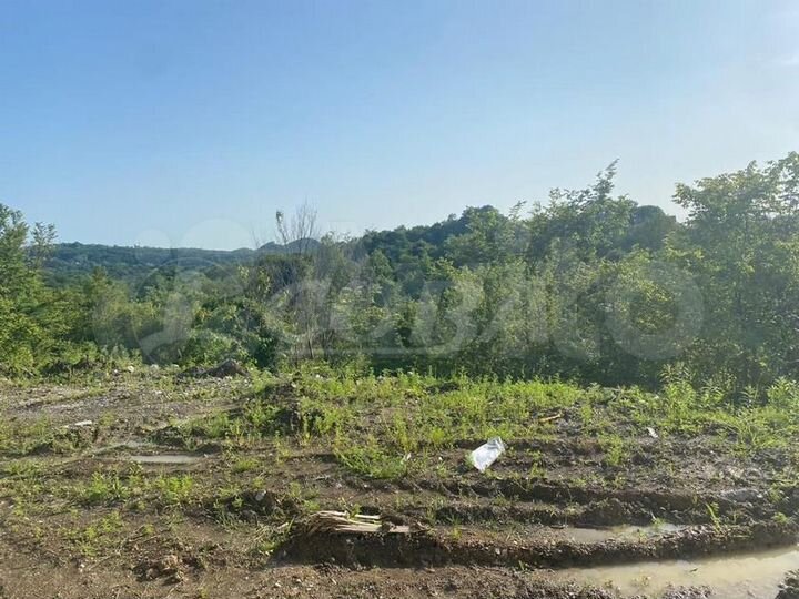 Участок 25 сот. (ИЖС)