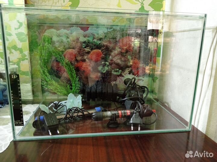 Аквариум