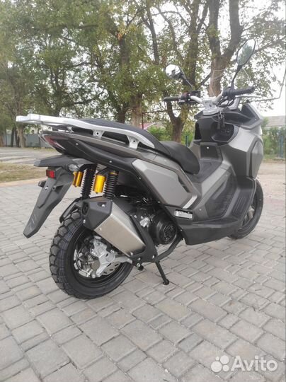 Макси. Новый