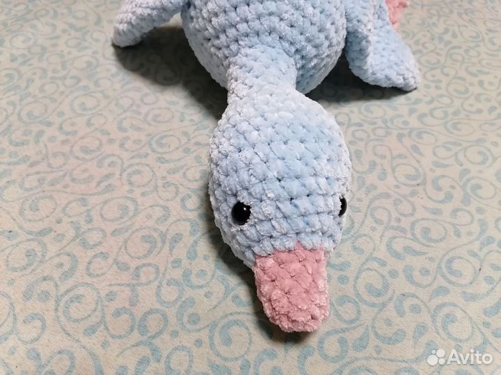 Гусь обнимусь