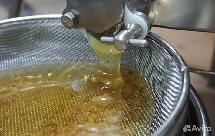 Мед натуральный алтайский оптом от 16 кг