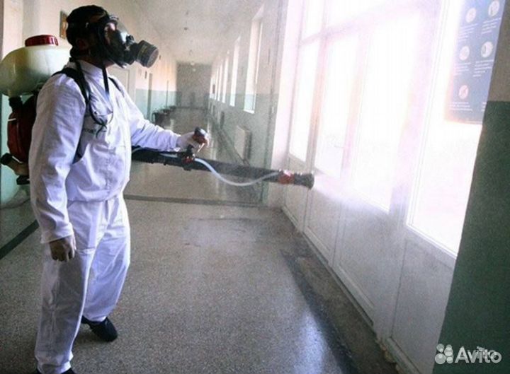 Уничтожение тараканов,клопов,плесени,мышей,крыс