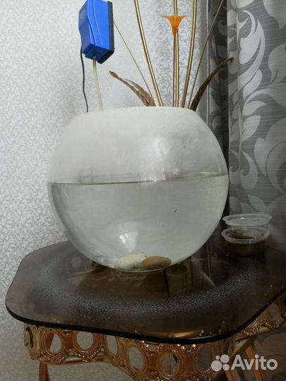 Аквариум круглый