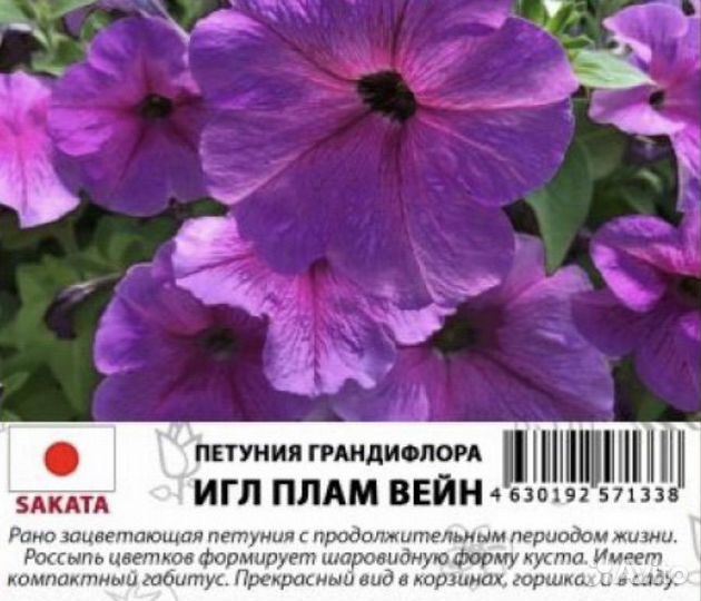 Профессиональные семена петунии