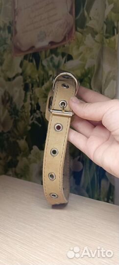 Ошейник для собак