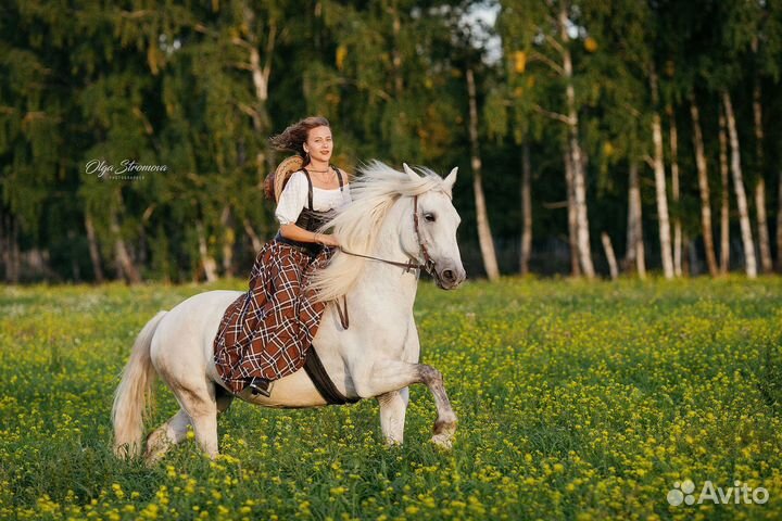 Фотограф / Фотосессия с лошадьми
