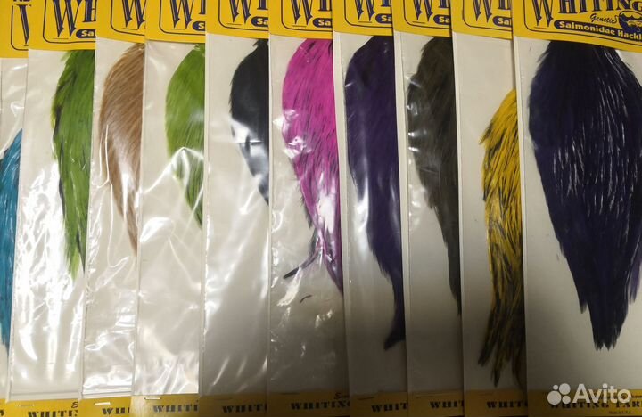 Перья Whiting cape. Нахлыст