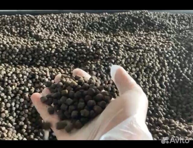 Корм для форели осетра сома