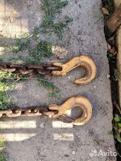 Паук цепной