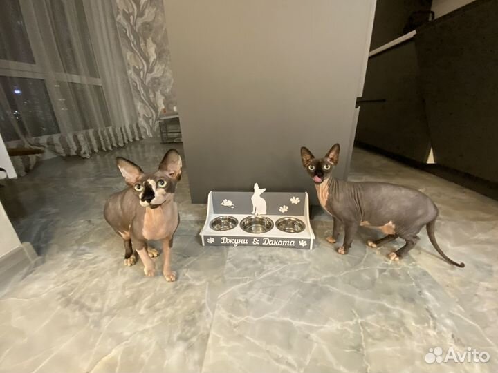 Подставка для мисок для животных