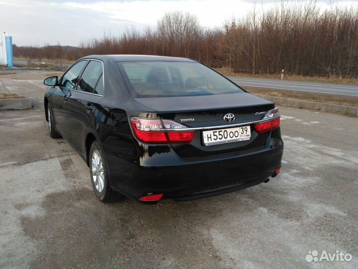 Экскурсии на куршскую косу Экскурсии на куршскую к