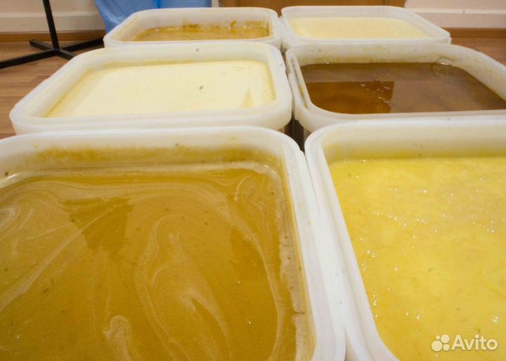 2024 Мёд натуральный из Алтая оптом