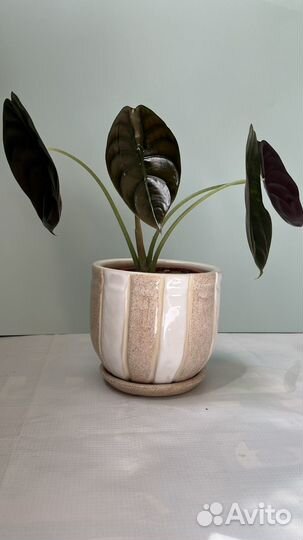 Керамический горшок, ручная работа