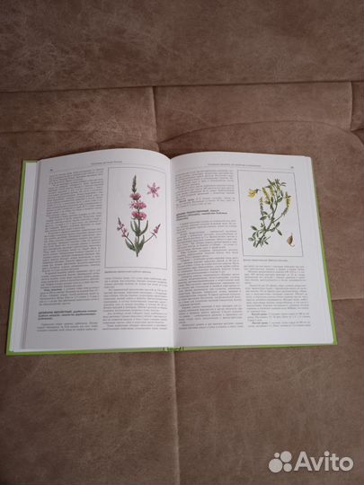 Сборник лекарственных растений