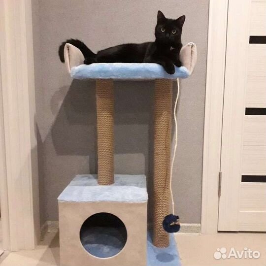 Домики когтеточка для кошки новый