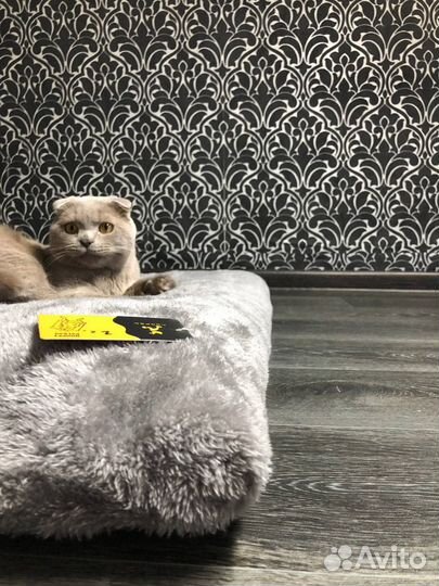 Лежанка для животных