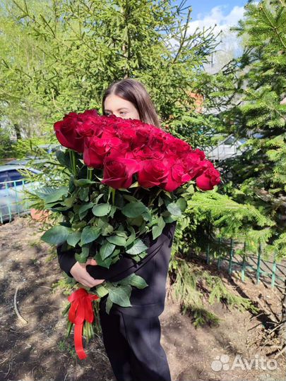 Высокие розы в Омске