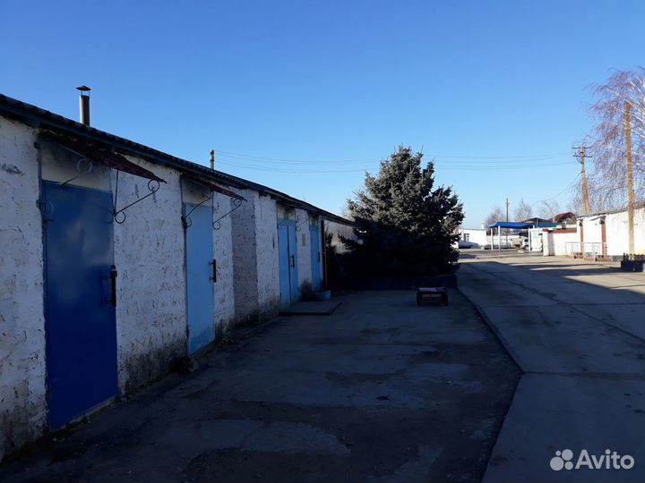 Агробизнес в Первомайском районе, Крым