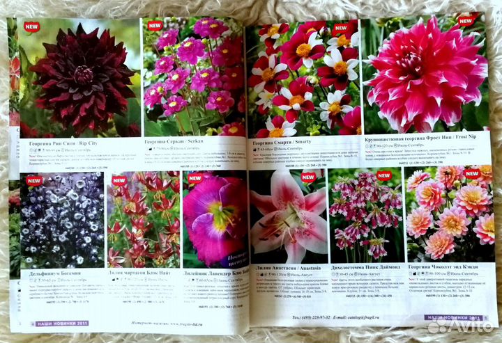 Журнал В мире растений/Семена,луковицы