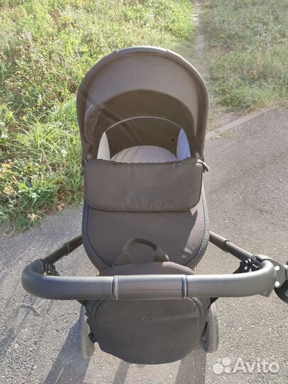 Коляска 2 в 1 Rant Flex Pro