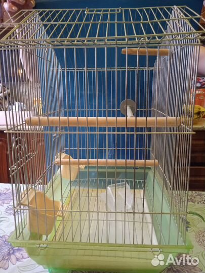 Клетка для попугая или канарейки