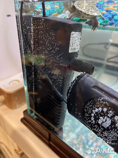 Аквариум акватерариум