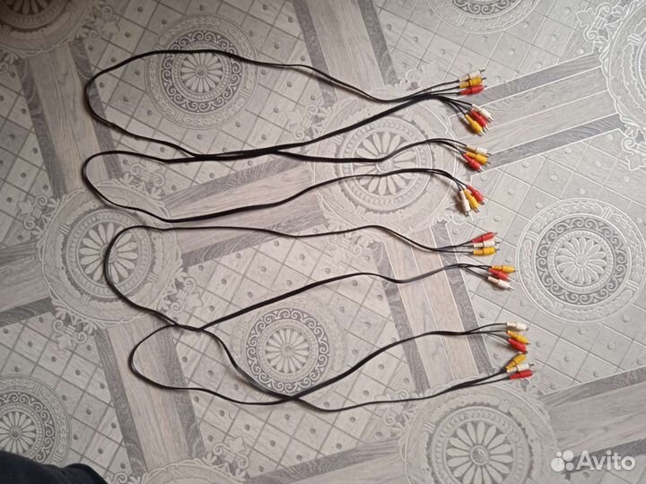 Тюльпаны провода