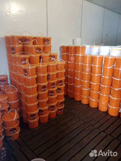 Соленья Рыба оптом